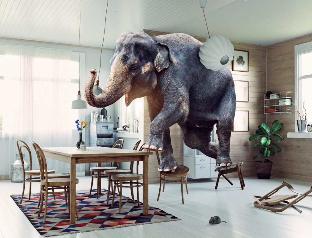 Frightened,Elephant,Runs,From,Mouse,To,Table.,Photo,And,Media