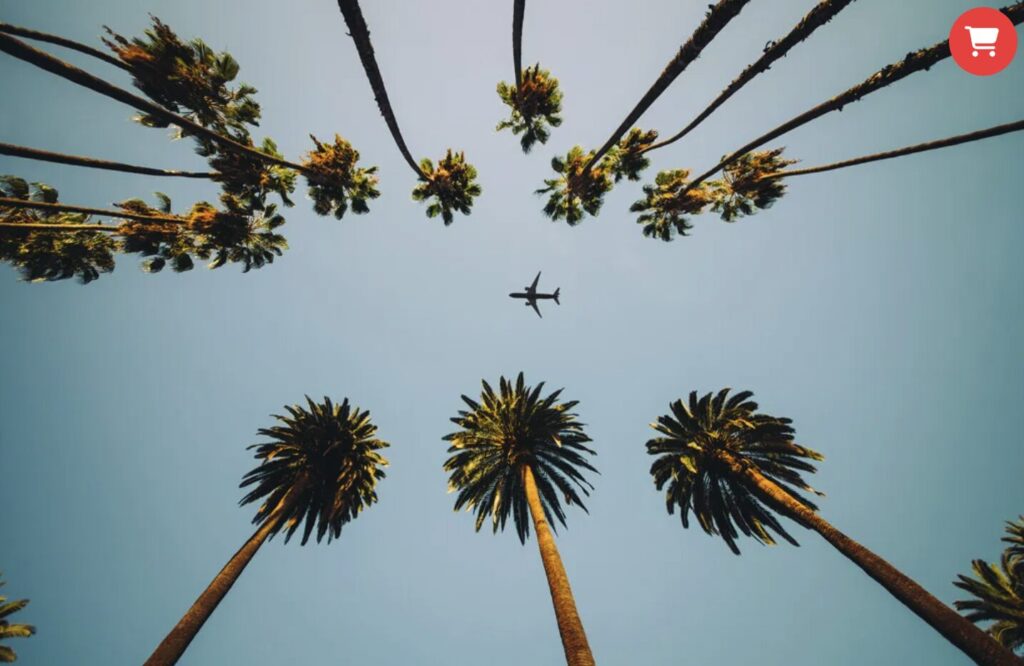 PowerPoint 2568 05 30 at 11.33.35