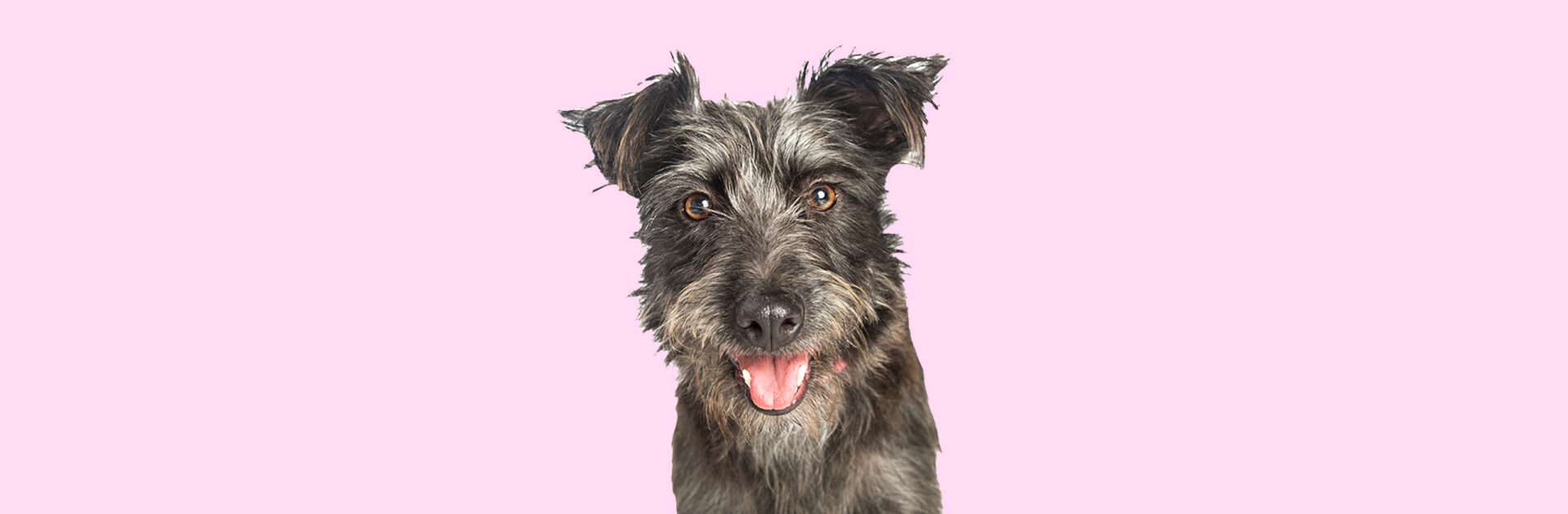 5 ขั้นตอนสร้างอัตลักษณ์แบรนด์แบบง่าย ๆ ! ด้วย stock photo_cover_desktop