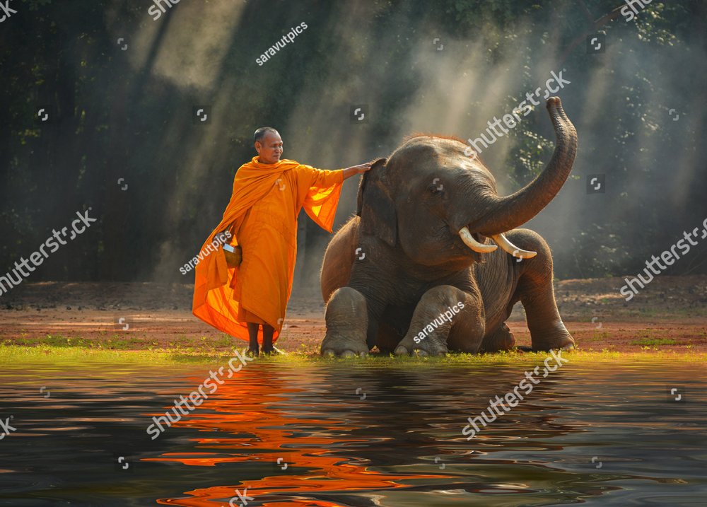 shutterstock 539708797