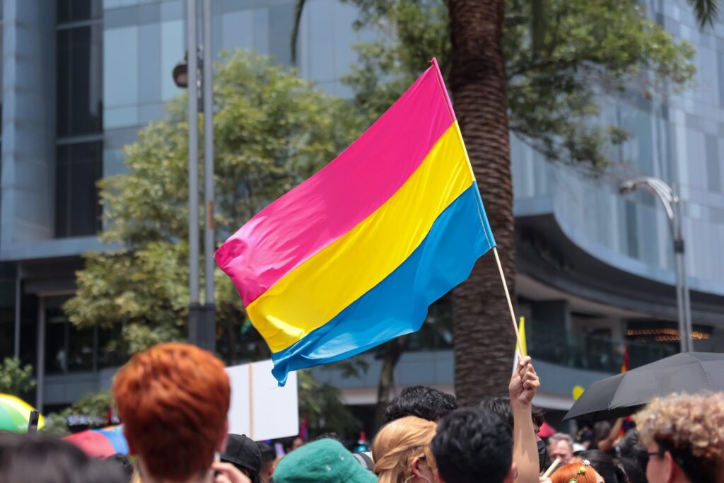 Pansexual,Flag,At,The,Annual,Gay,Parade,In,Mexico,City