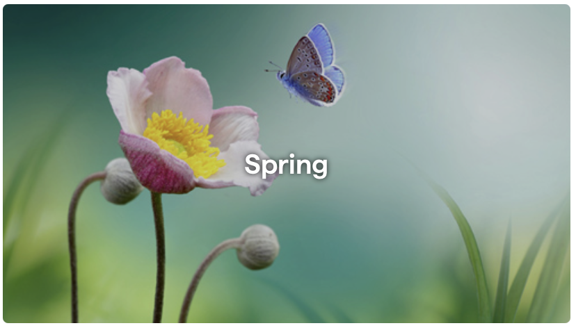 sectionImage_คลังภาพสดใหม่ สำหรับทุกงานสร้างสรรค์_image_32