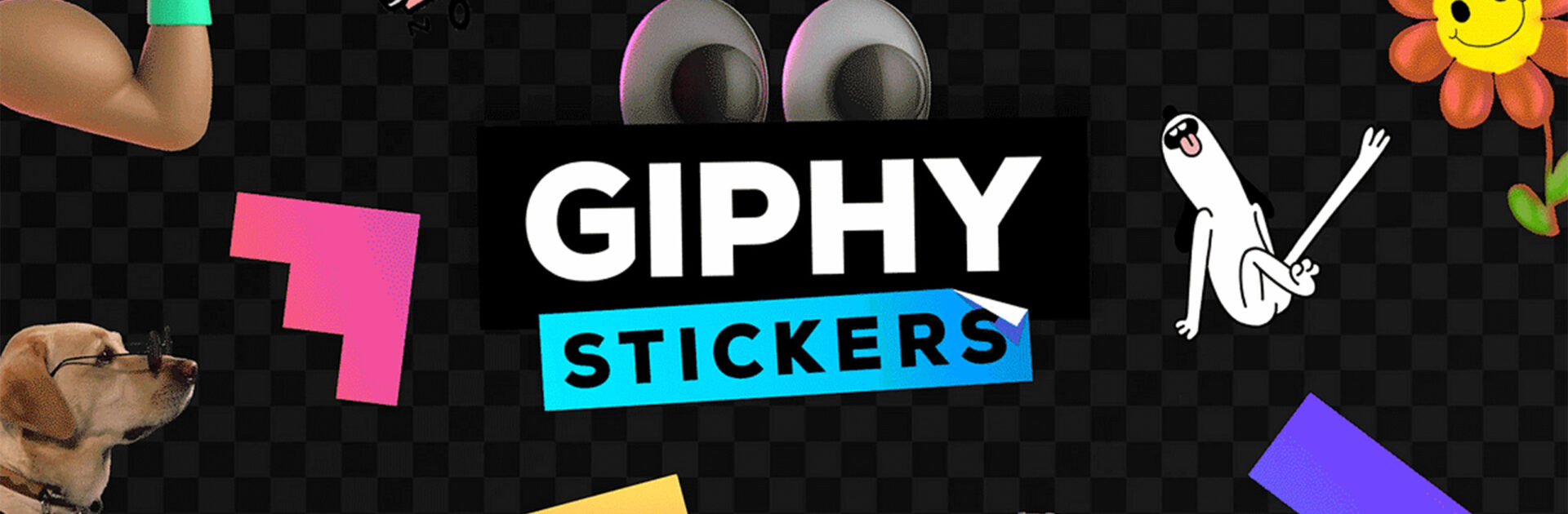 GIPHY ร่วมมือกับ TikTok เพื่อผลักดันระบบ GIF ใน DM รูปแบบใหม่_cover_desktop