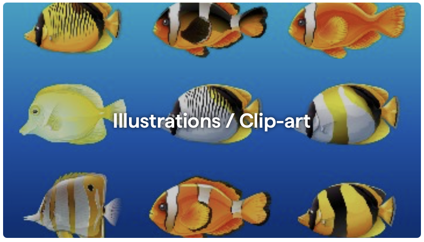 sectionImage_คลังภาพสดใหม่ สำหรับทุกงานสร้างสรรค์_image_18