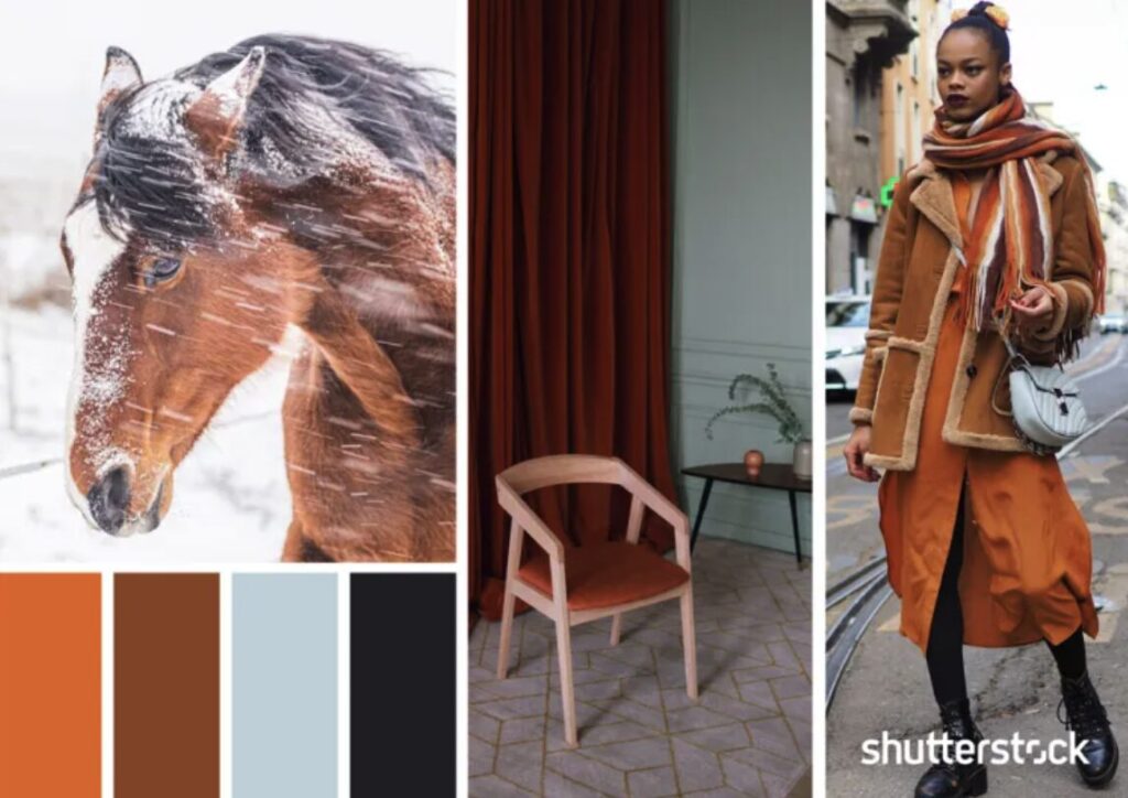 โทนสีหน้าหนาว 2568 06 20 at 15.30.41