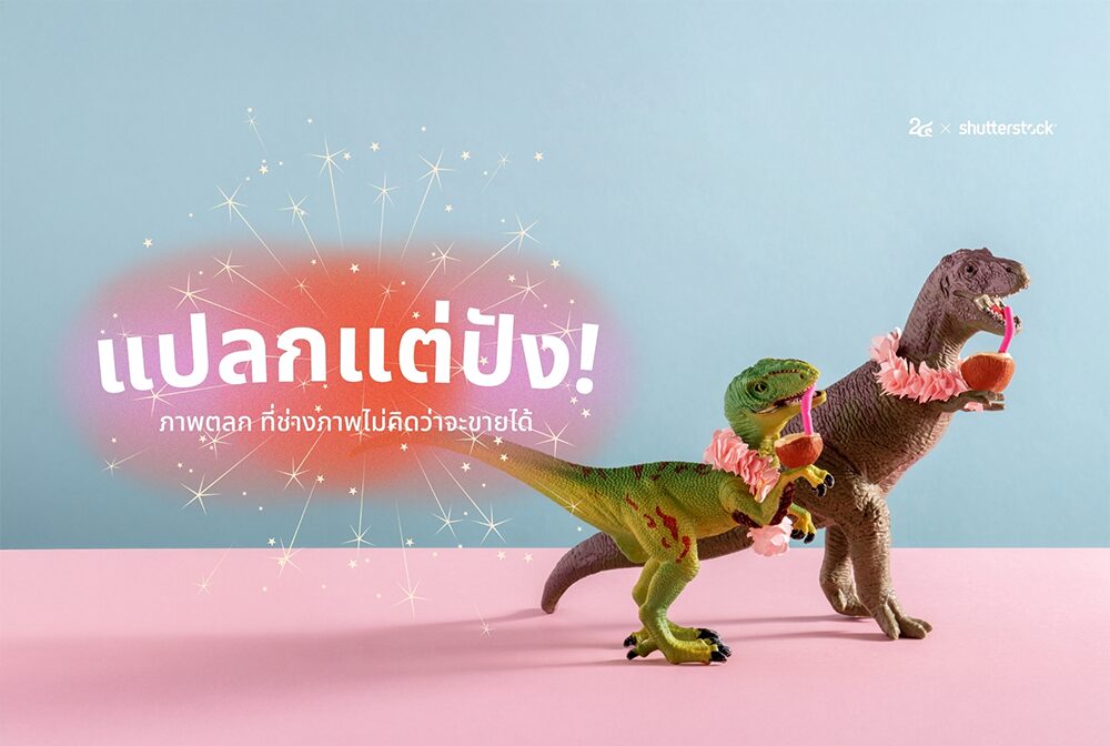 แปลกแต่ปัง! ภาพตลก ที่ช่างภาพไม่คิดว่าจะขายได้_cover_desktop