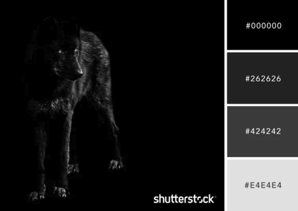 โทนสีหน้าหนาว 2568 06 20 at 15.32.05