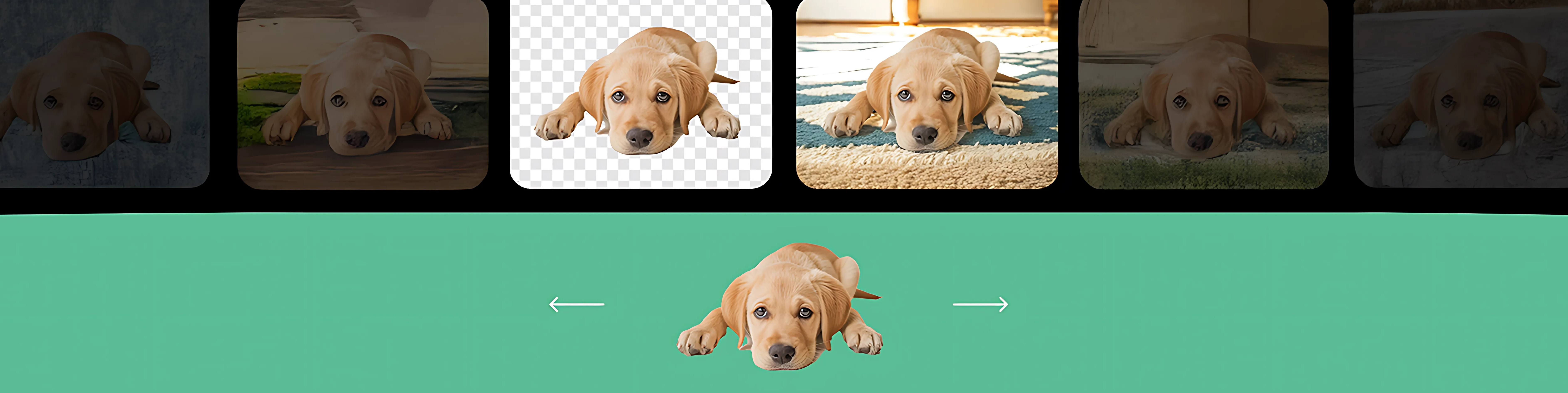 Design & Image Transformation_cover_desktop