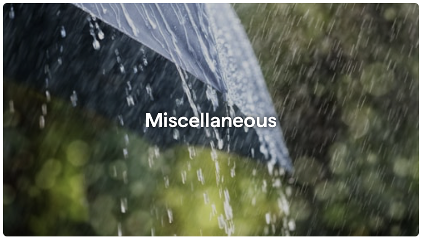 sectionImage_คลังภาพสดใหม่ สำหรับทุกงานสร้างสรรค์_image_21