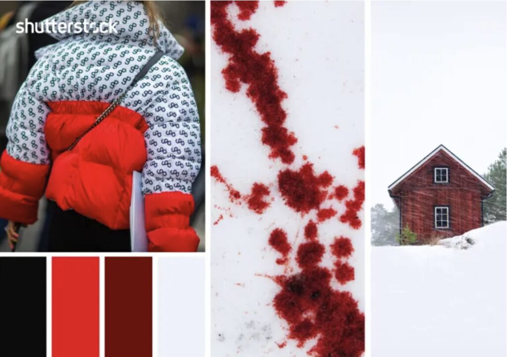 โทนสีหน้าหนาว 2568 06 20 at 15.31.44