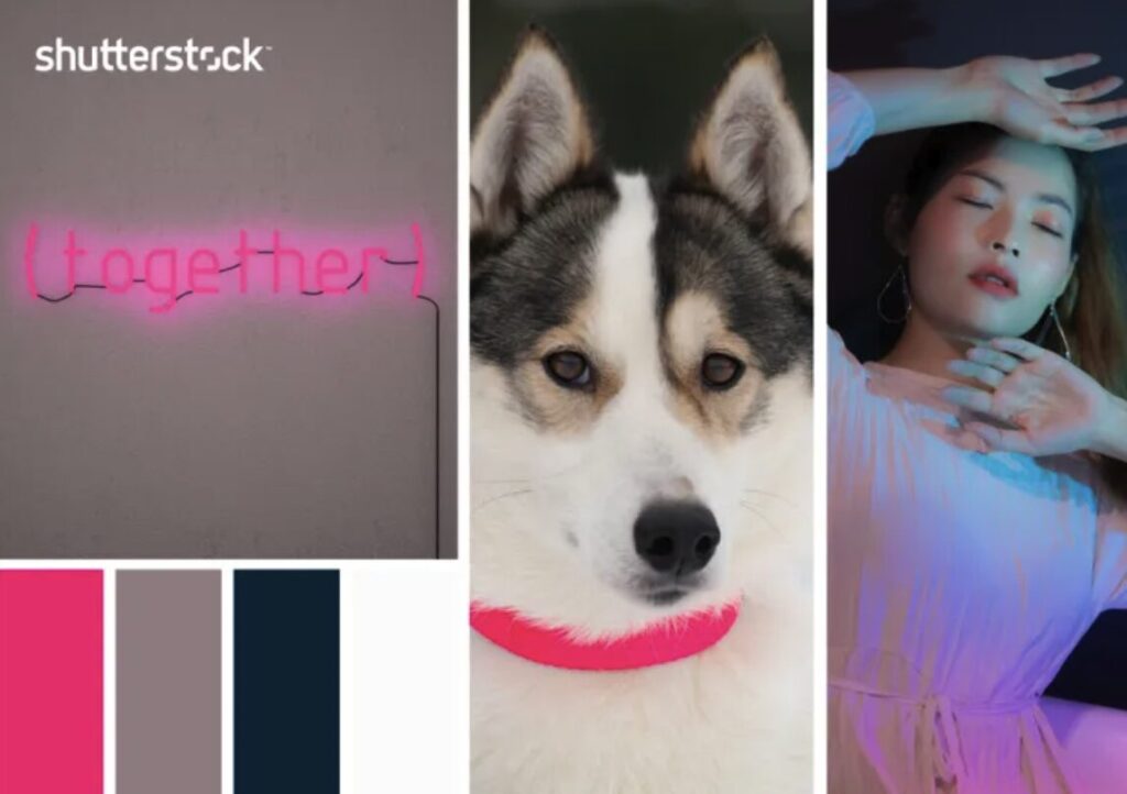 โทนสีหน้าหนาว 2568 06 20 at 15.31.02