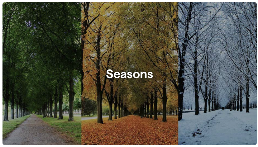 sectionImage_คลังภาพสดใหม่ สำหรับทุกงานสร้างสรรค์_image_29