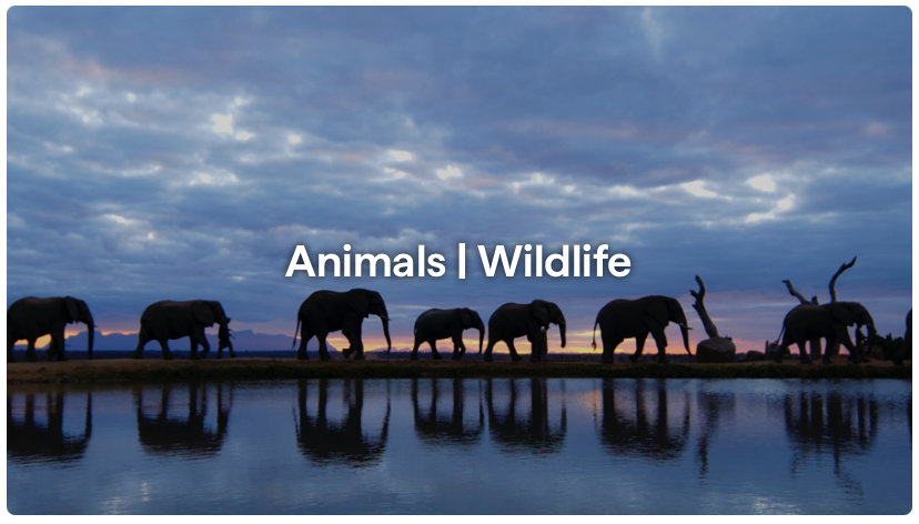 sectionImage_คลังภาพสดใหม่ สำหรับทุกงานสร้างสรรค์_image_4