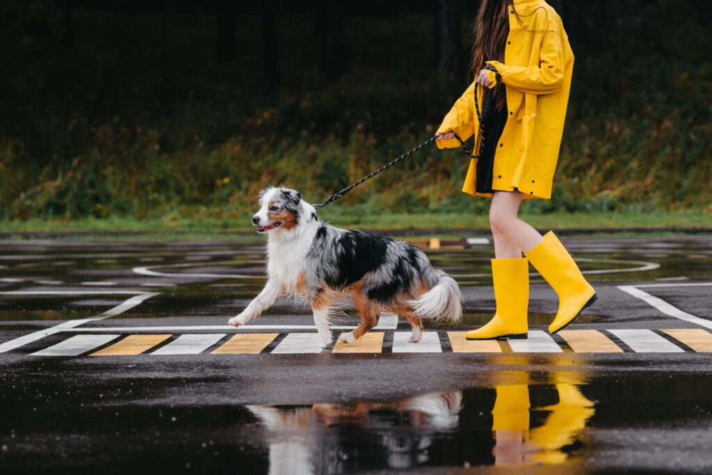Woman,In,Yellow,Raincoat,And,Yellow,Rubber,Boots,Walking,With