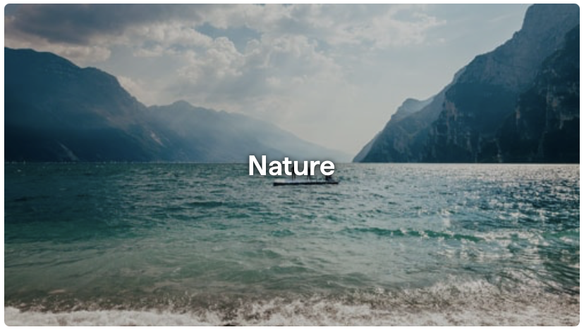 sectionImage_คลังภาพสดใหม่ สำหรับทุกงานสร้างสรรค์_image_22