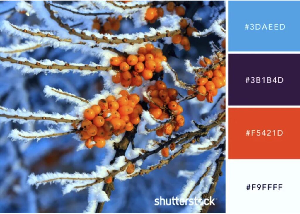 โทนสีหน้าหนาว 2568 06 20 at 15.30.15