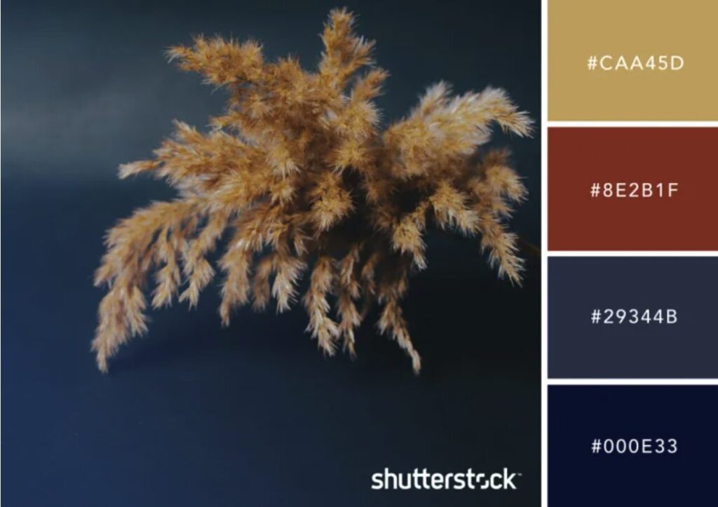 โทนสีหน้าหนาว 2568 06 20 at 15.30.56